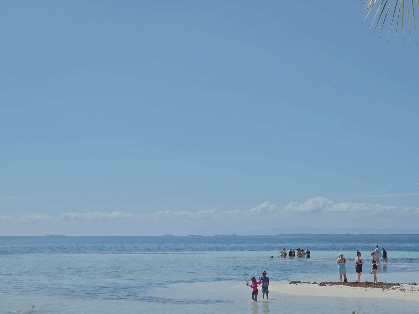 Team members wading in the turquoise waters near the Belize Barrier Reef