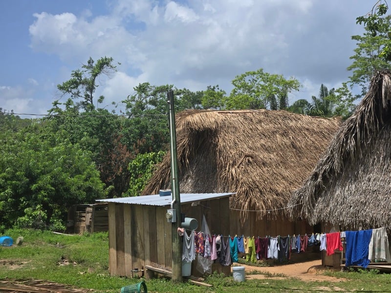 Thatched-roof homes in the Hope Creek community in Belize