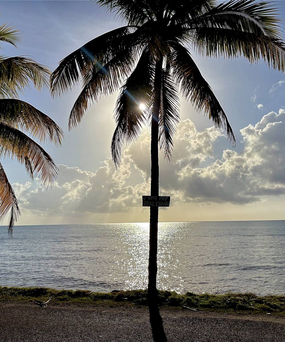 A palm tree silhouetted against the sun setting over the sea