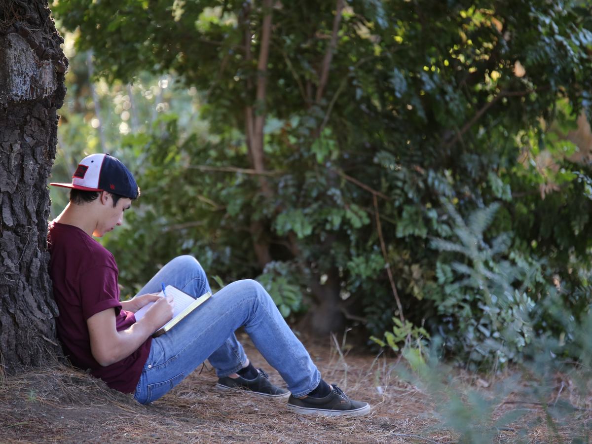 A student reading and journaling alone beneath a tree