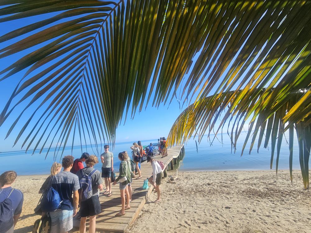 A GO Serve group walking together along a beach boardwalk lined with palm trees