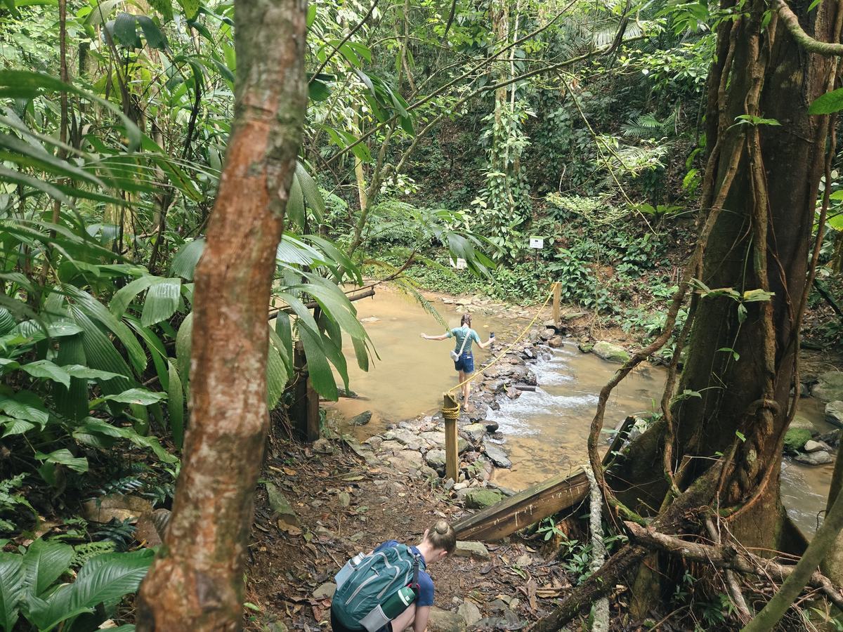 A student crossing a shallow jungle stream on stepping stones