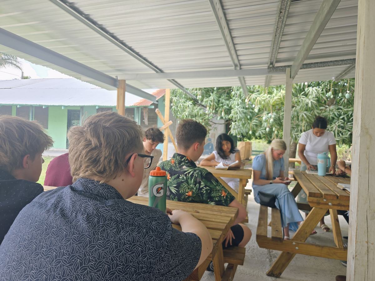 Students studying together at outdoor picnic tables