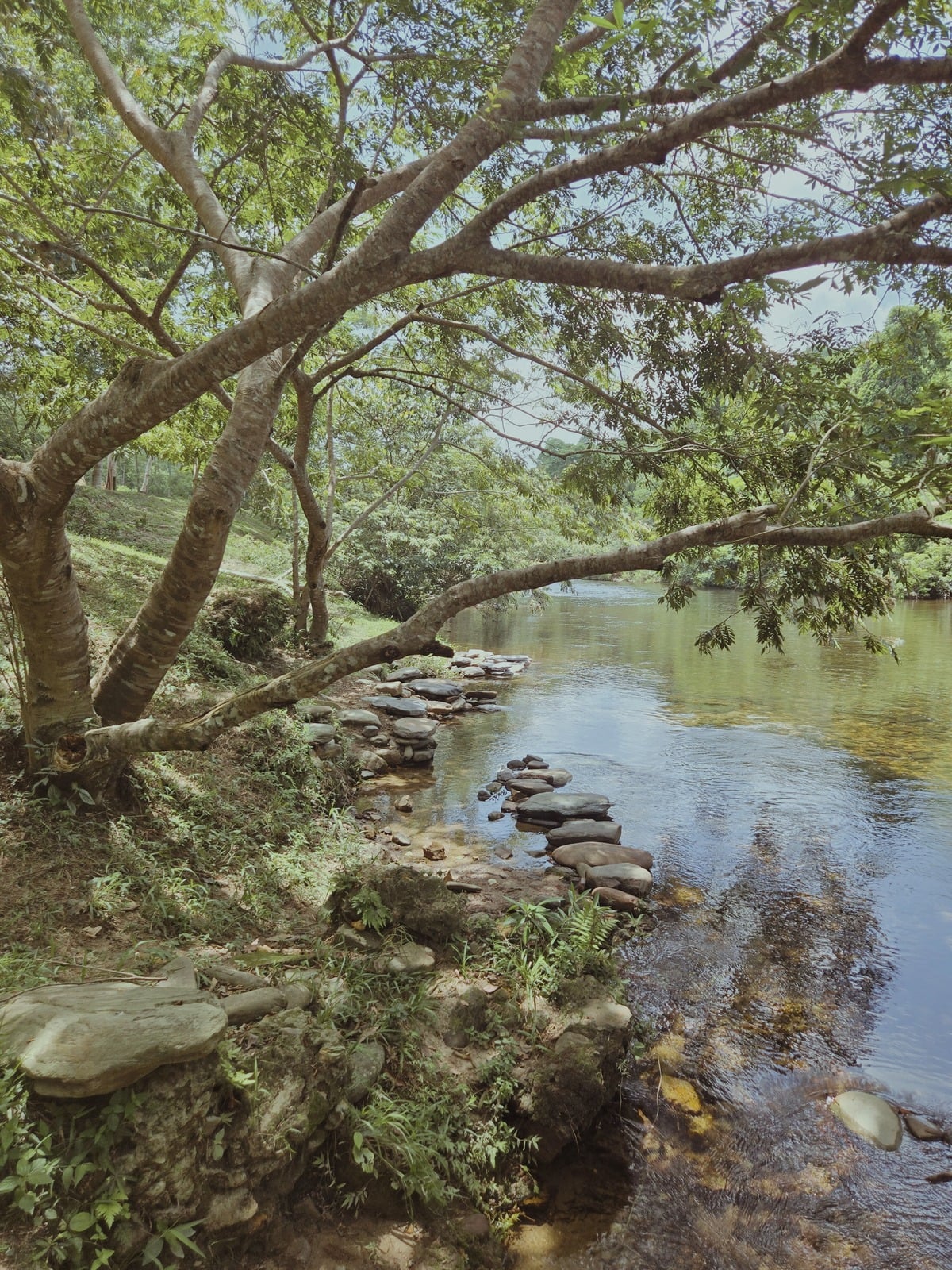 A quiet river near the San Pablo village