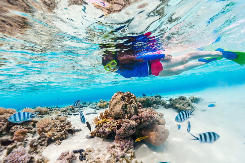 Snorkeling along the Belize Barrier Reef