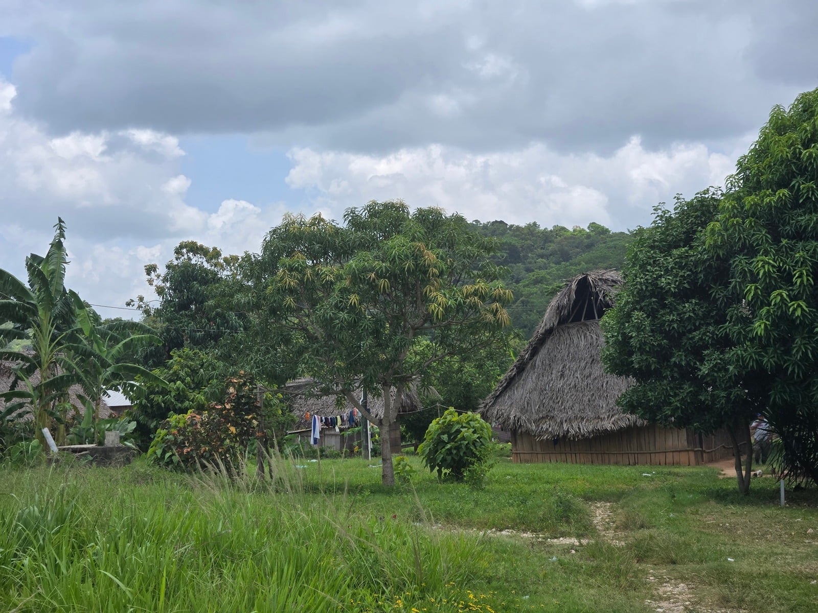 A thatched-roof home in the San Pablo village in Belize
